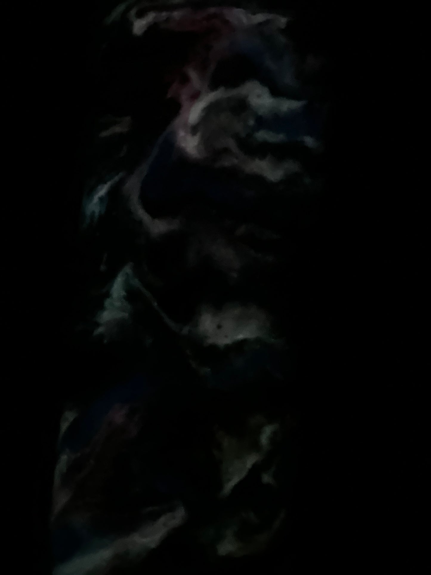 RTS. Dragonfly Rainbow Glow 20oz